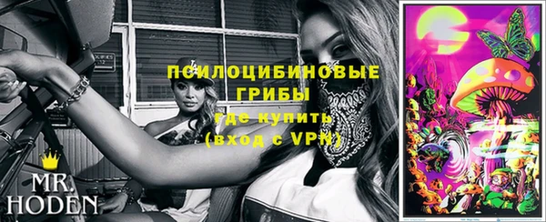 ГАЛЛЮЦИНОГЕННЫЕ ГРИБЫ Абинск