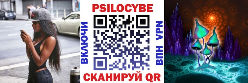 где продают наркотики  Химки  Псилоцибиновые грибы мухоморы 